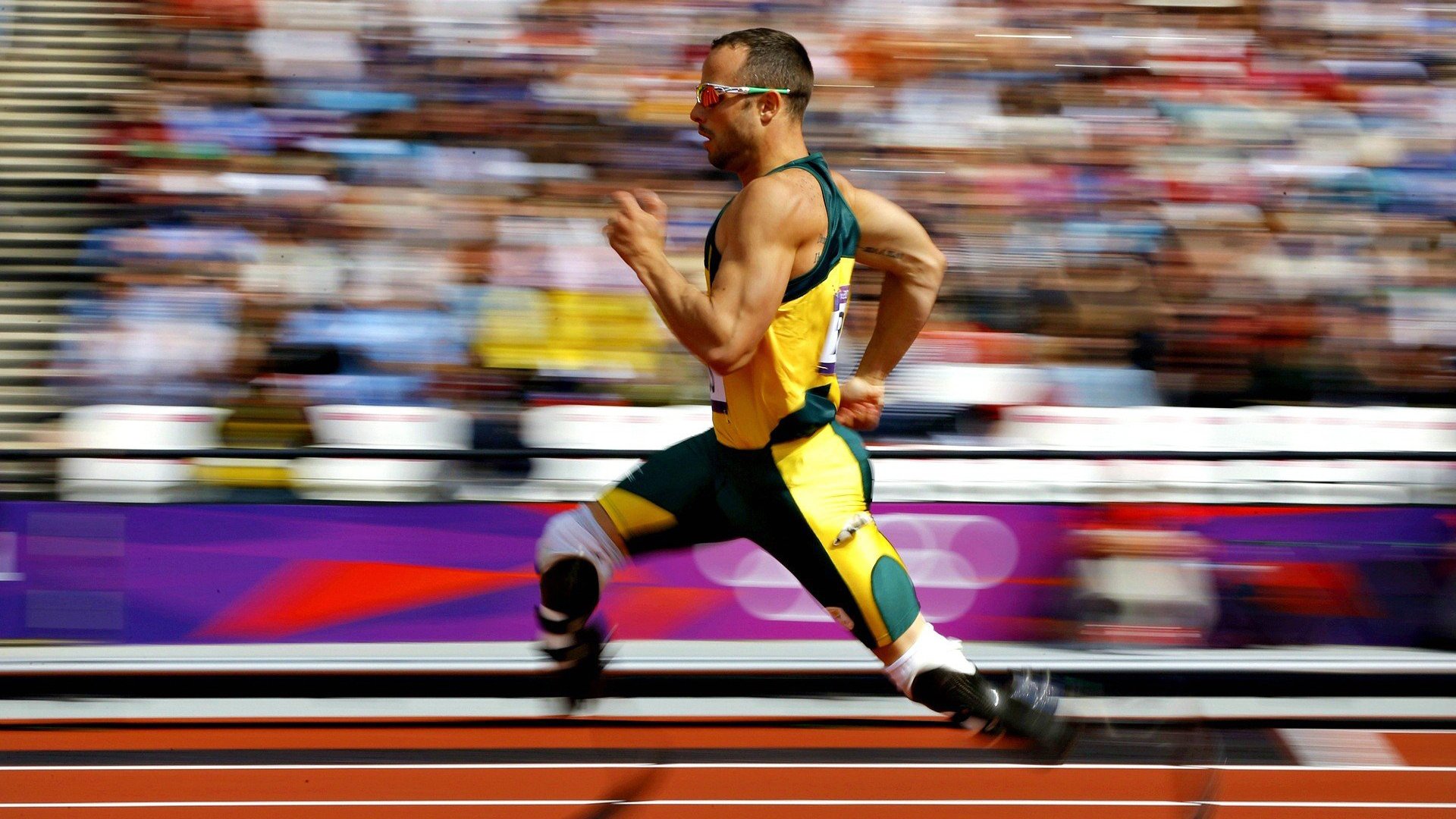 体育赛事博物馆展出经典赛季珍贵影像资料，体育赛事展示