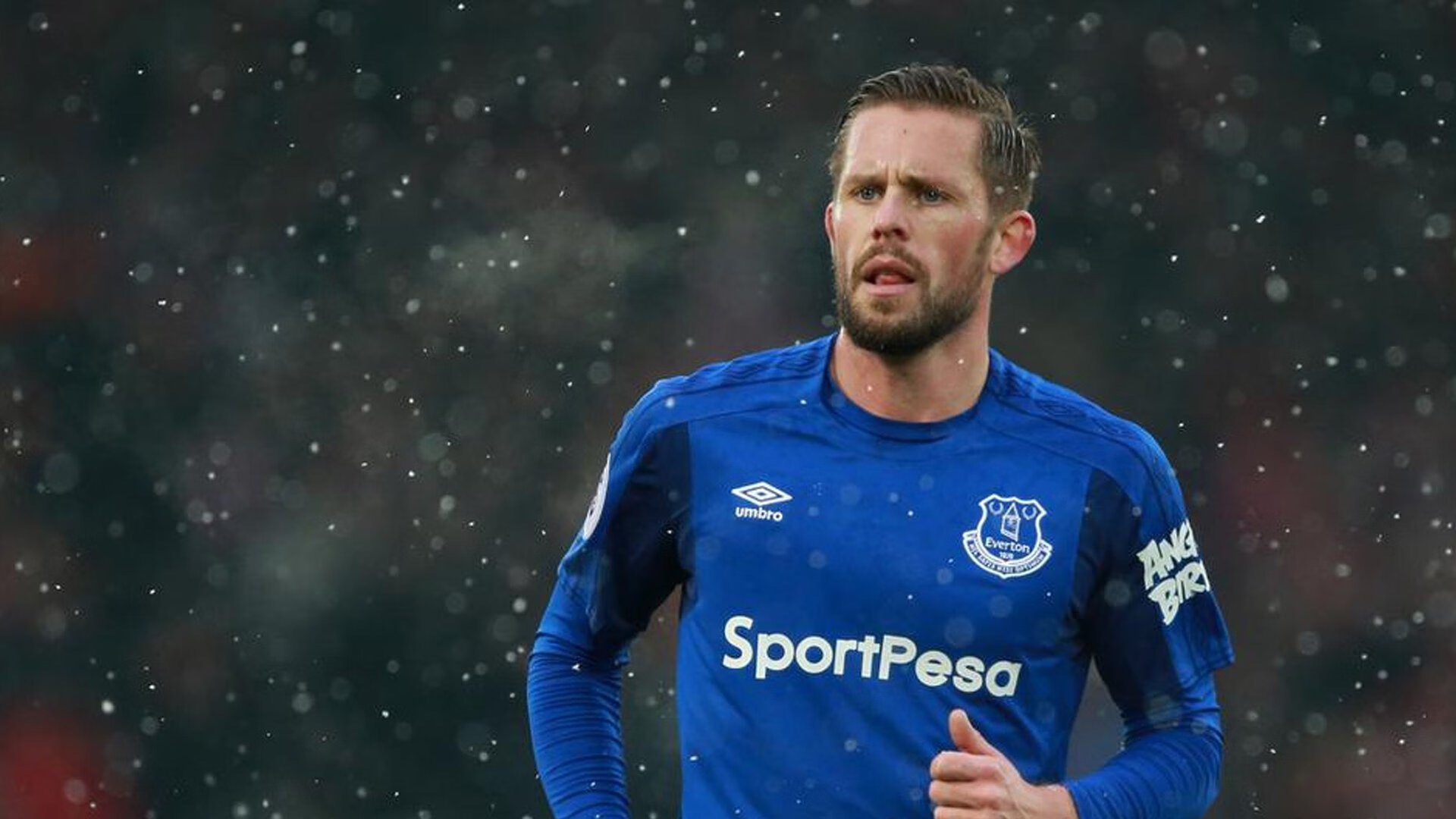 球员赛季表现稳定发挥出色，赛季球员是什么