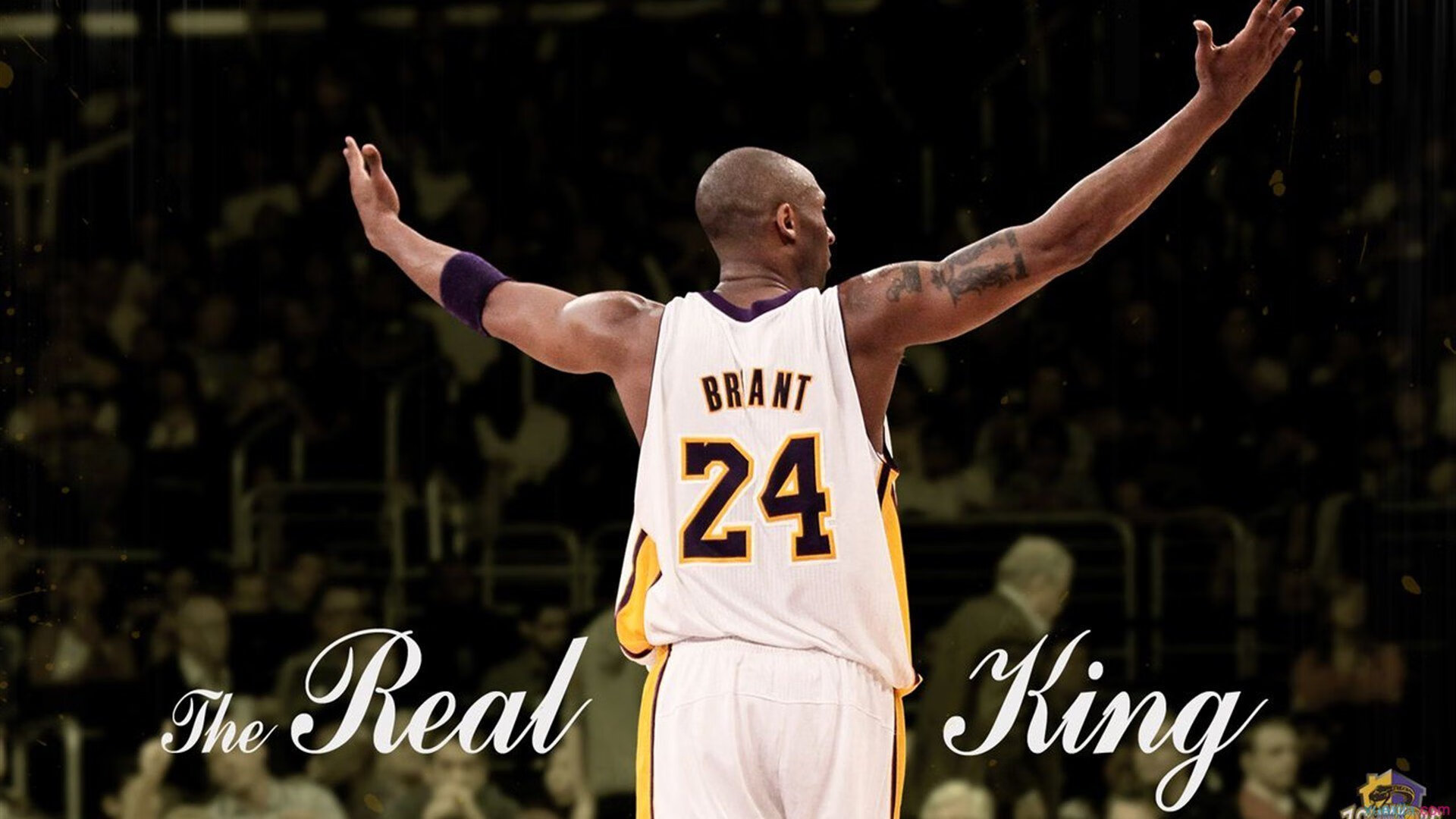 乐鱼体育下载-可笑，海港球迷竟认为被裁判针对，称泰山队在裁判保驾护航下拿到胜利